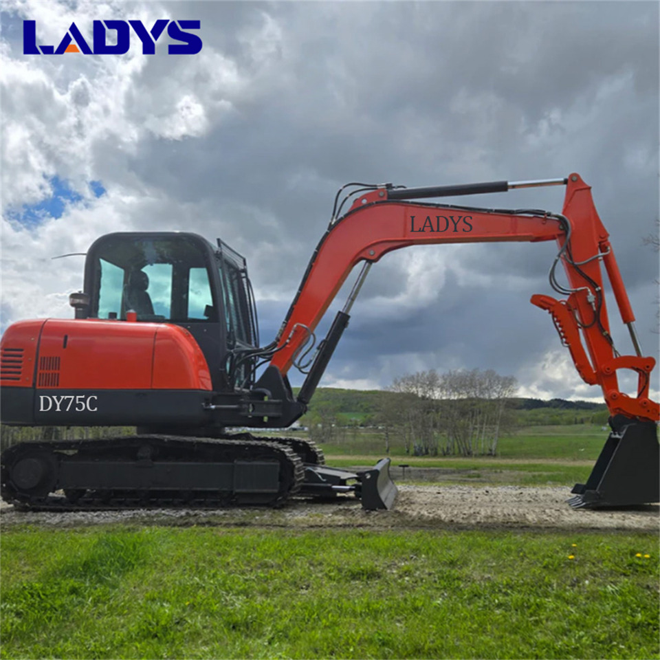 LADYS DY75C Small Excavator Euro 5/Epa Yanmar Engine Small Excavator Crawler Excavator For Sale - 履带式挖掘机:图1 LADYS DY75C Small Excavator Euro 5/Epa Yanmar Engine Small Excavator Crawler Excavator For Sale - 履带式挖掘机:图1