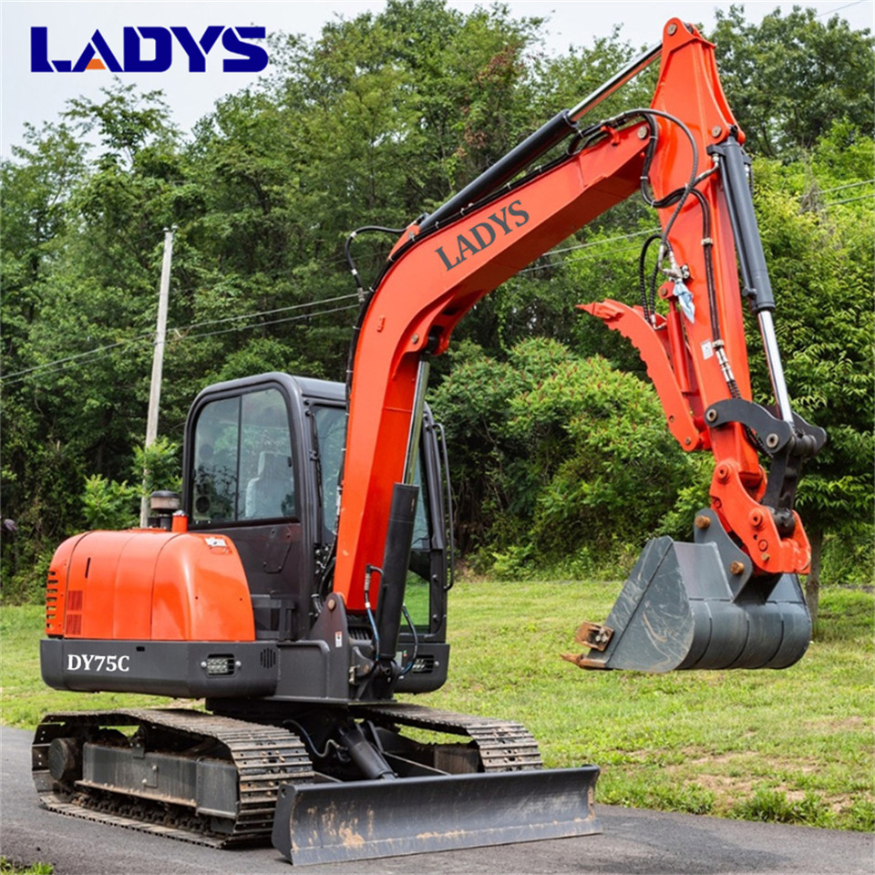 LADYS DY75C Small Excavator Euro 5/Epa Yanmar Engine Small Excavator Crawler Excavator For Sale - 履带式挖掘机:图4 LADYS DY75C Small Excavator Euro 5/Epa Yanmar Engine Small Excavator Crawler Excavator For Sale - 履带式挖掘机:图4
