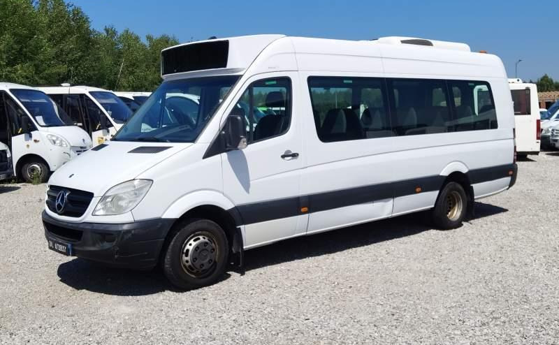 Mercedes-Benz Sprinter 516 *2x klimatyzacja*webasto* Euro 5 - 小型巴士, 小型客车:图4 Mercedes-Benz Sprinter 516 *2x klimatyzacja*webasto* Euro 5 - 小型巴士, 小型客车:图4