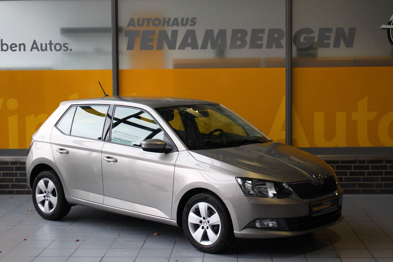 Skoda Fabia Ambition Klima Tempomat Bluetooth - 轿车:图1 Skoda Fabia Ambition Klima Tempomat Bluetooth - 轿车:图1