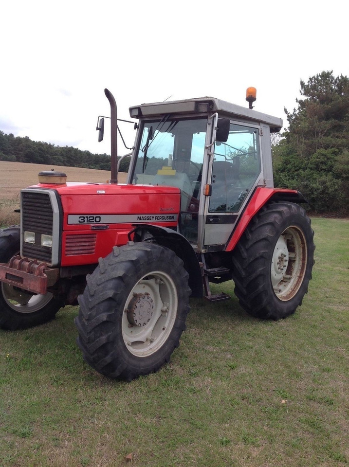 Massey Ferguson 3120 - 拖拉机:图1 Massey Ferguson 3120 - 拖拉机:图1