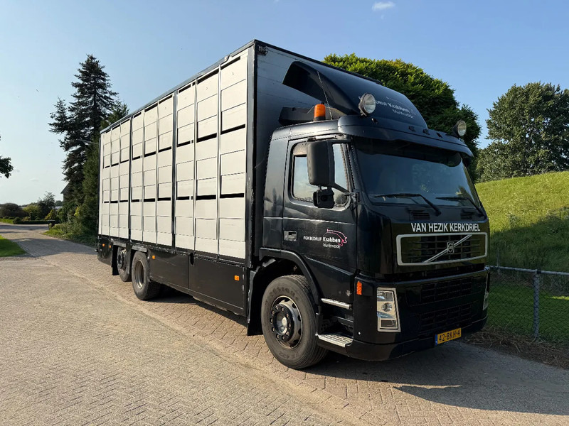 牲畜运输车 Volvo FM 300 Livestock Cuppers 3 laags 6x2：图19
