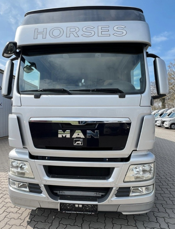 MAN 26.480 5 pferde - 马匹运输车:图2 MAN 26.480 5 pferde - 马匹运输车:图2