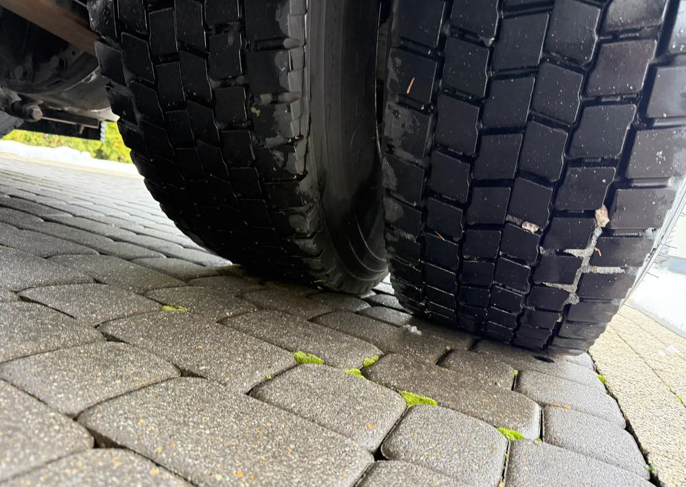 牵引车 Renault T 480 PARK COOL：图8