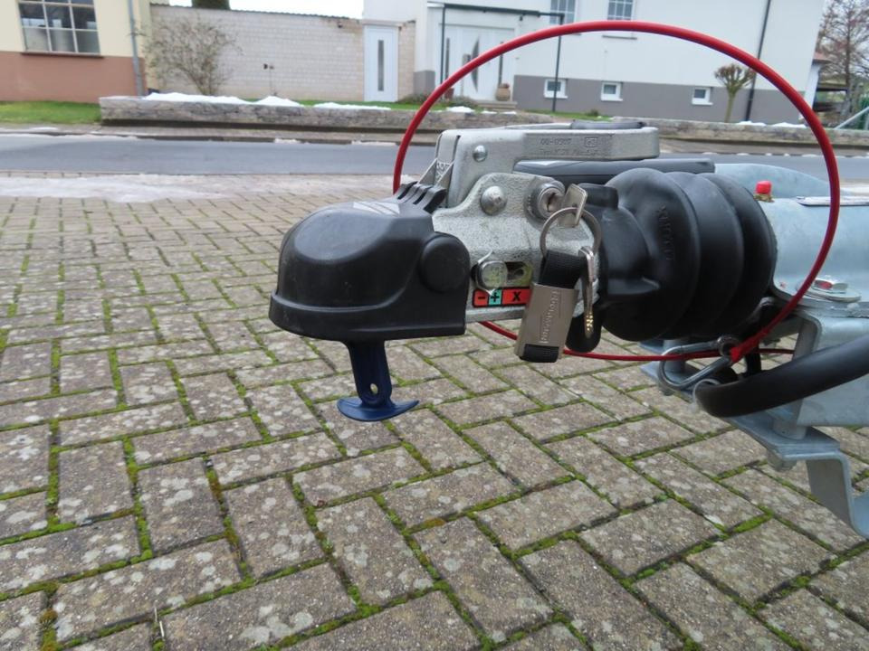 马拖车 Böckmann Pferdeanhänger Portax SKA 2025 WCF Fenster links/ rechts:图18 马拖车 Böckmann Pferdeanhänger Portax SKA 2025 WCF Fenster links/ rechts:图18