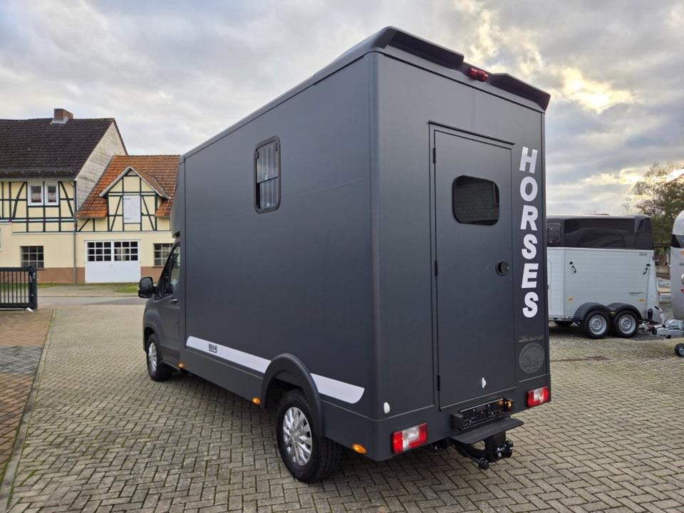 MSG Stablehopper Pferdetransporter Pferdeanhänger Böckmann - 马匹运输车:图4 MSG Stablehopper Pferdetransporter Pferdeanhänger Böckmann - 马匹运输车:图4