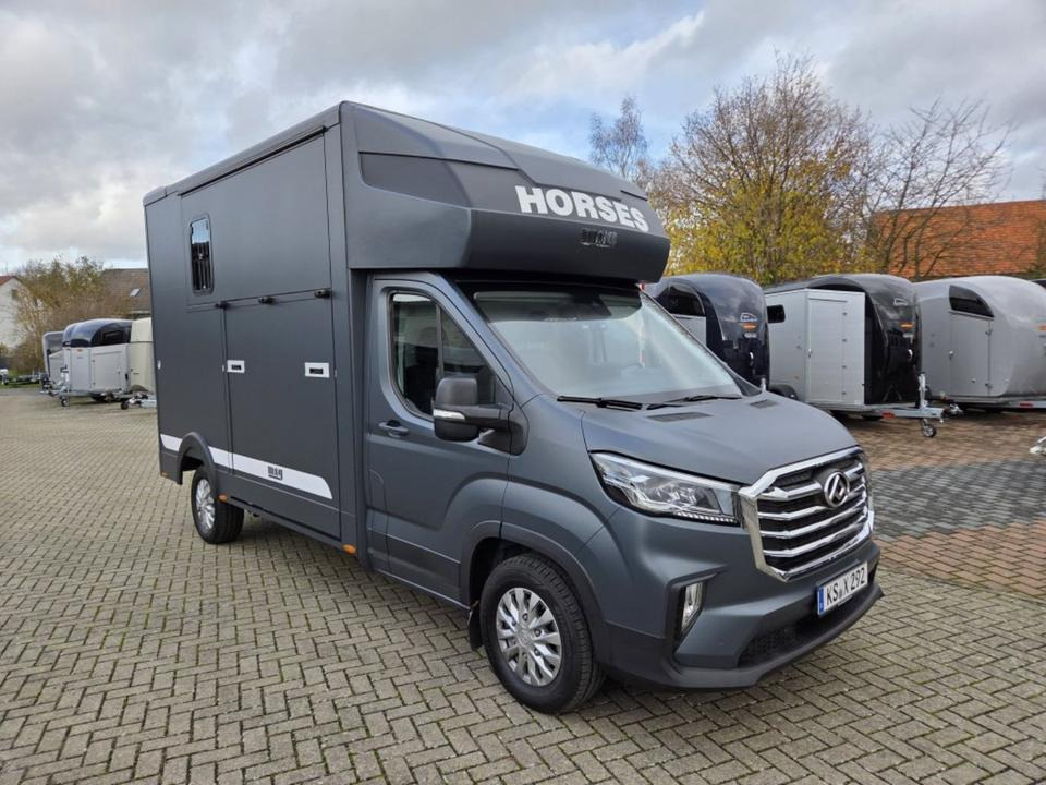 MSG Stablehopper Pferdetransporter Pferdeanhänger Böckmann - 马匹运输车:图5 MSG Stablehopper Pferdetransporter Pferdeanhänger Böckmann - 马匹运输车:图5