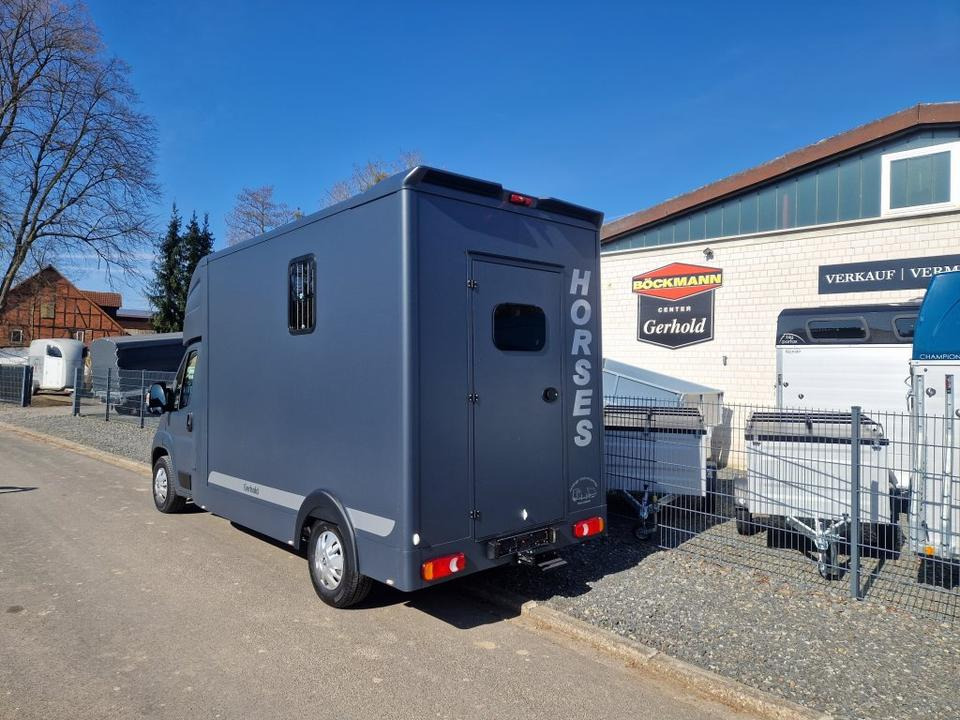 MSG Stablehopper Pferdetransporter Pferdeanhänger Böckmann - 马匹运输车:图4 MSG Stablehopper Pferdetransporter Pferdeanhänger Böckmann - 马匹运输车:图4