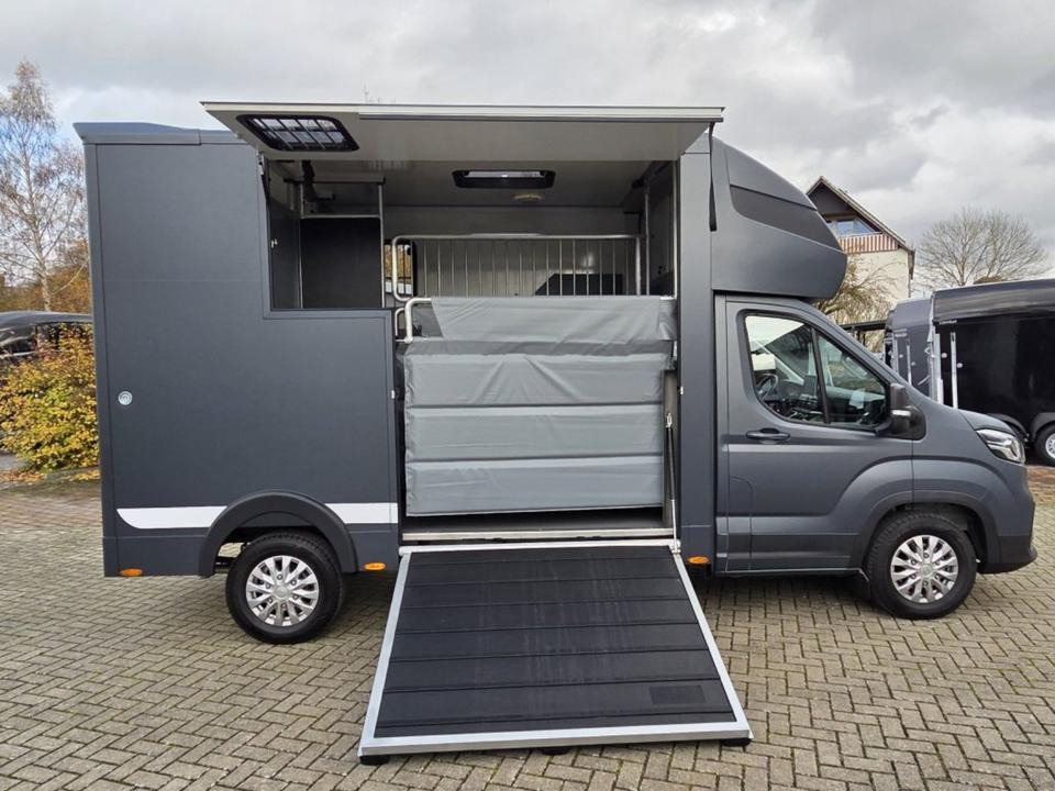 MSG Stablehopper Pferdetransporter Pferdeanhänger Böckmann - 马匹运输车:图3 MSG Stablehopper Pferdetransporter Pferdeanhänger Böckmann - 马匹运输车:图3