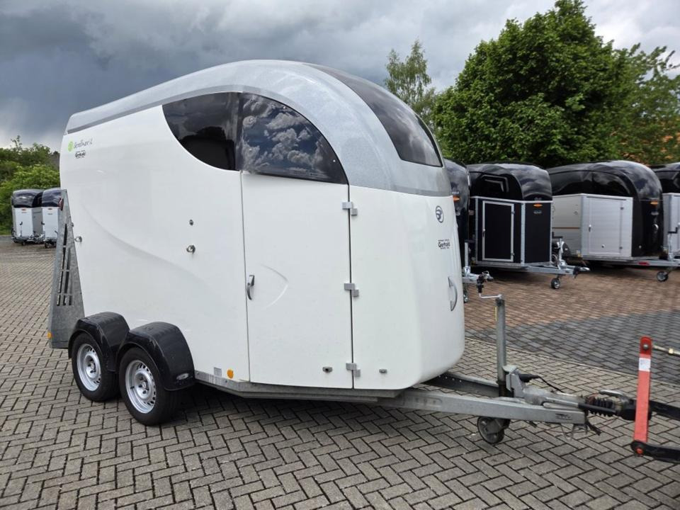 Pferdeanhänger Careliner L 2,5t Panoramascheibe 100km/h Sattelk. - 马拖车:图3 Pferdeanhänger Careliner L 2,5t Panoramascheibe 100km/h Sattelk. - 马拖车:图3