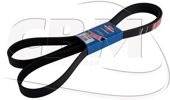 DAYCO BELT - KASSBOHRER DAF IRISBUS - IVECO - RVI (8311000859 | 1518746 | 1160281 | 7701003456) - 皮带 适用于 巴士:图1 DAYCO BELT - KASSBOHRER DAF IRISBUS - IVECO - RVI (8311000859 | 1518746 | 1160281 | 7701003456) - 皮带 适用于 巴士:图1