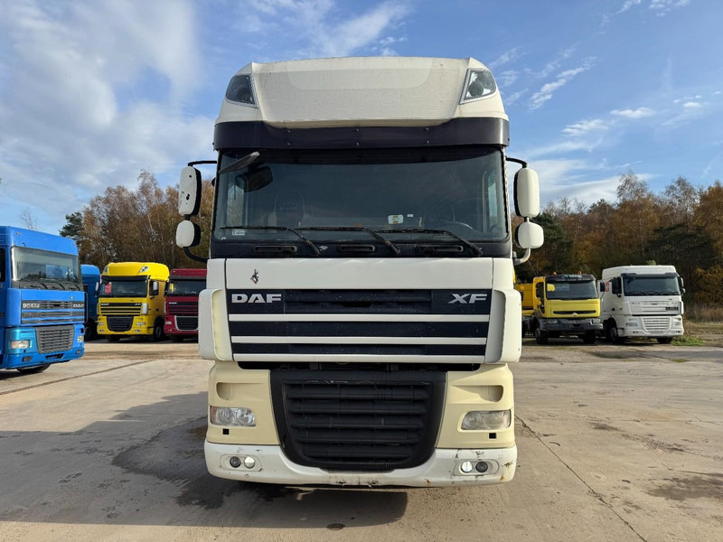 DAF 105 XF 460 Super Space Cab (MANUAL GEARBOX / BOITE MANUELLE) - 牵引车:图2 DAF 105 XF 460 Super Space Cab (MANUAL GEARBOX / BOITE MANUELLE) - 牵引车:图2