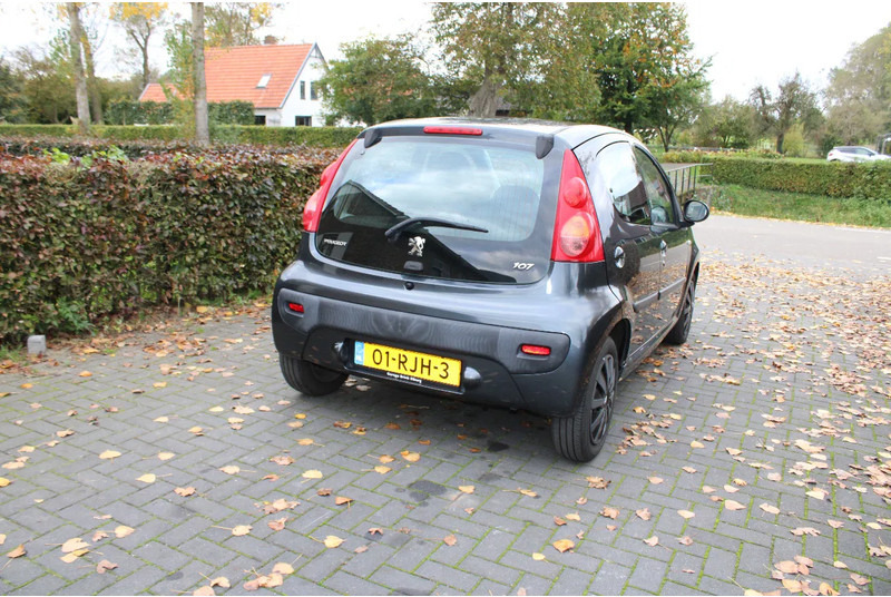 Peugeot 107 - 掀背车:图4 Peugeot 107 - 掀背车:图4