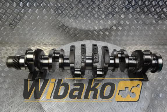 Crankshaft for engine Daewoo D2366 - 曲轴 适用于 建筑机械:图1 Crankshaft for engine Daewoo D2366 - 曲轴 适用于 建筑机械:图1