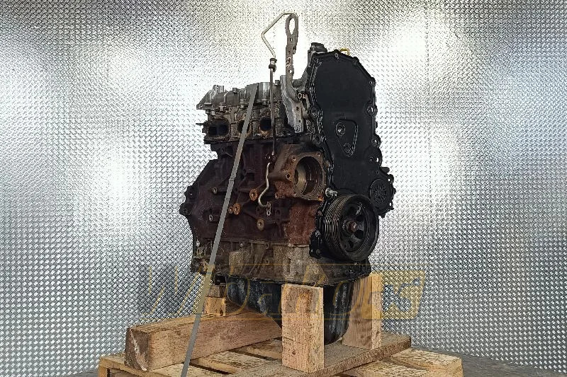 Ford 2.0 TCDI ECOBLUE YNR6 - 发动机 适用于 建筑机械:图3 Ford 2.0 TCDI ECOBLUE YNR6 - 发动机 适用于 建筑机械:图3