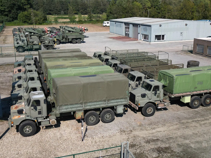 卡车 Volvo N 10 6X4 L - CARGO (11x stock):图8 卡车 Volvo N 10 6X4 L - CARGO (11x stock):图8