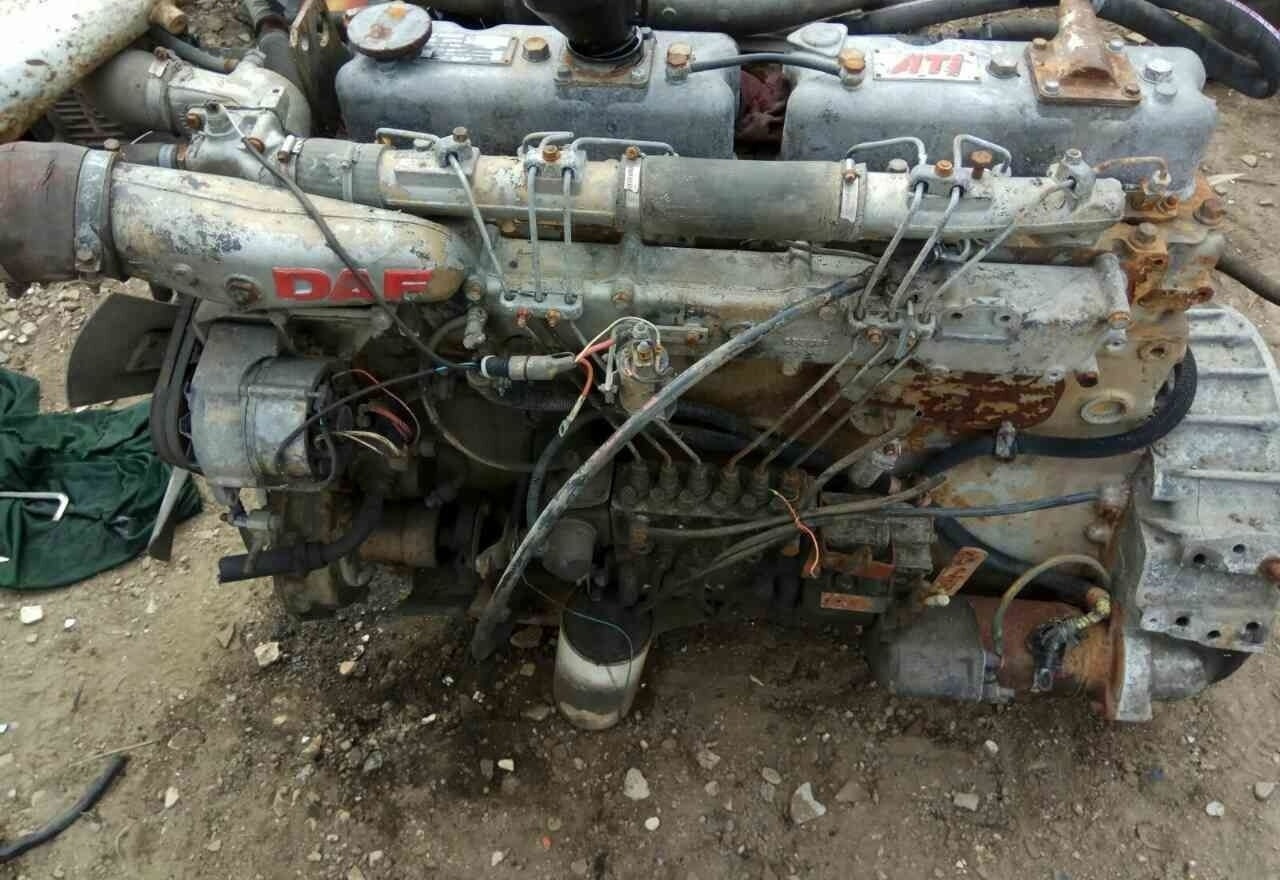 DAF ATI WS259 E2 DAF - 发动机 适用于 卡车:图1 DAF ATI WS259 E2 DAF - 发动机 适用于 卡车:图1