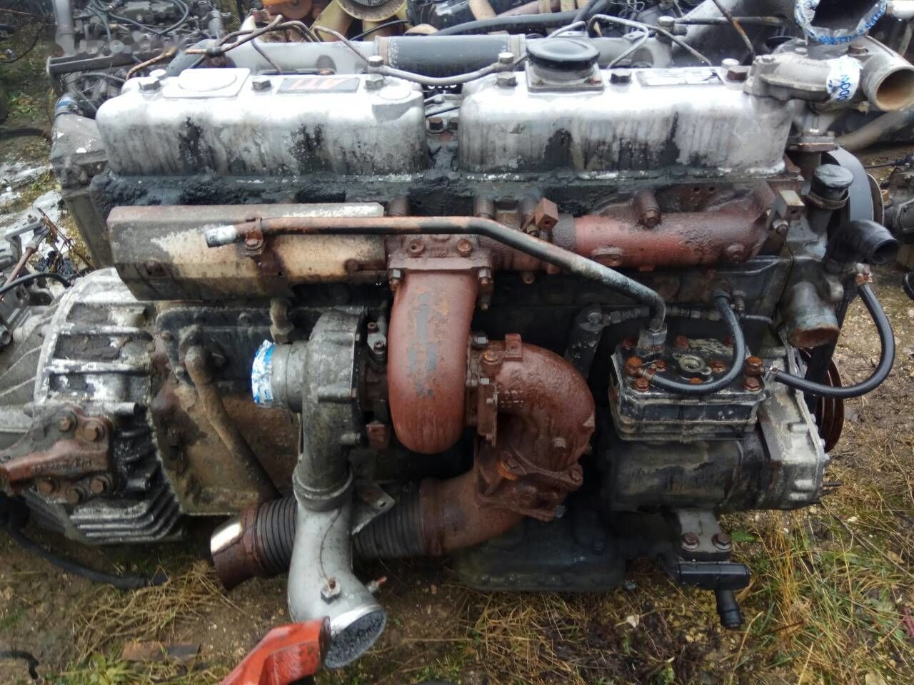 DAF ATI WS268 DAF ATI DAF 85 95 - 发动机 适用于 卡车:图2 DAF ATI WS268 DAF ATI DAF 85 95 - 发动机 适用于 卡车:图2