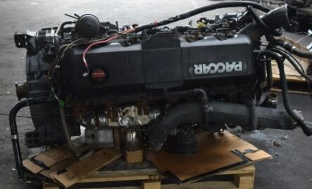 DAF MX340 DAF truck - 发动机 适用于 卡车:图5 DAF MX340 DAF truck - 发动机 适用于 卡车:图5