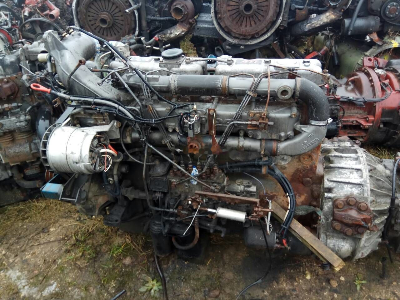 DAF ATI WS268 DAF ATI DAF 85 95 - 发动机 适用于 卡车:图1 DAF ATI WS268 DAF ATI DAF 85 95 - 发动机 适用于 卡车:图1