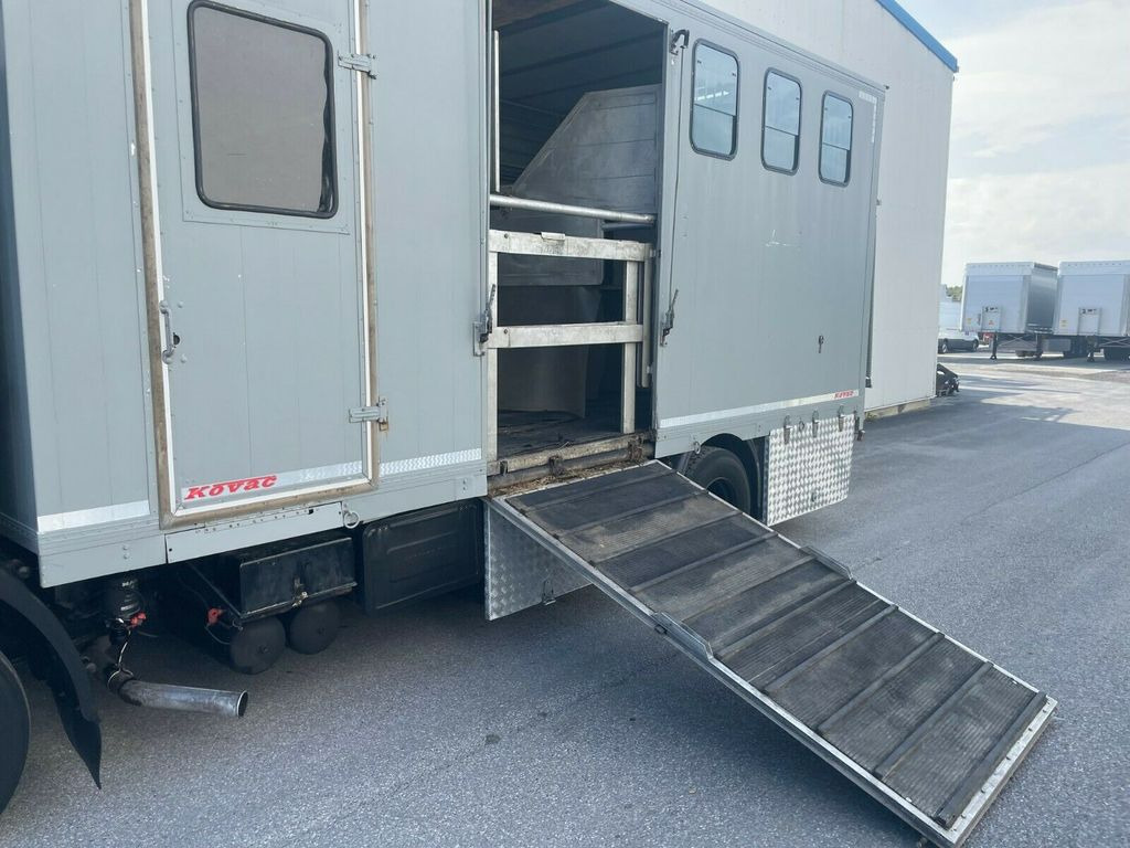 马匹运输车 MAN 12.192 Pferdetransporter：图13