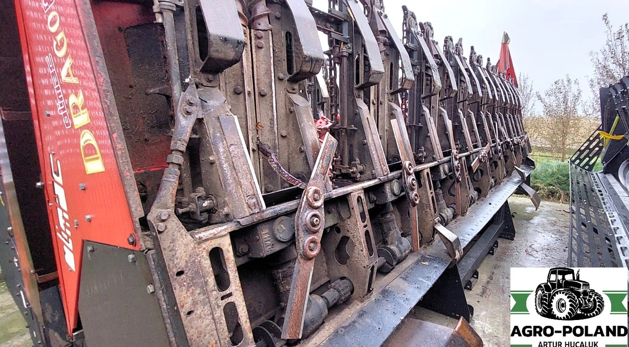 OLIMAC DRAGO S 8 TR - 8X70 - 2014 ROK - 玉米收割装置:图1 OLIMAC DRAGO S 8 TR - 8X70 - 2014 ROK - 玉米收割装置:图1