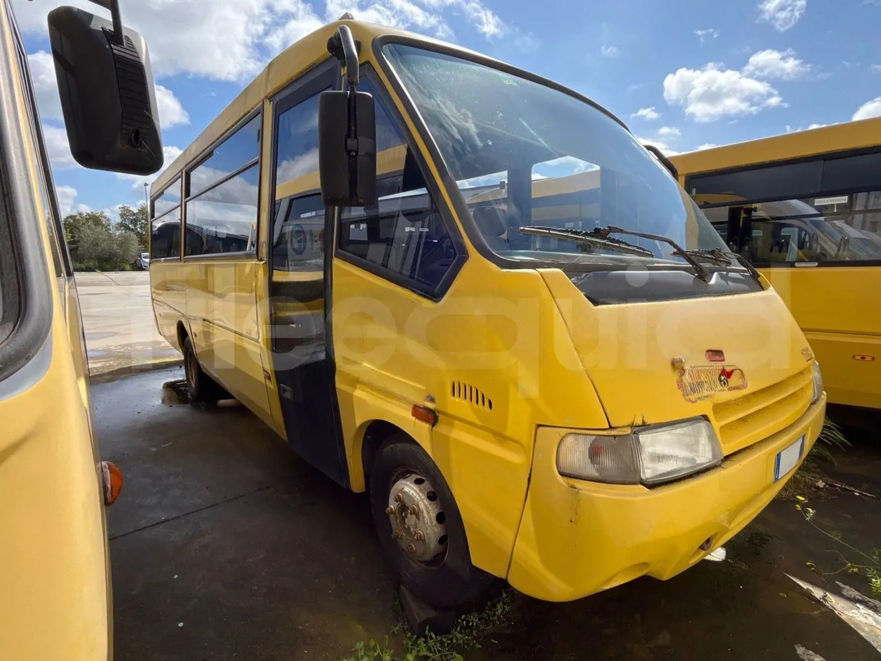 Iveco Cacciamali - 校車:图2 Iveco Cacciamali - 校車:图2