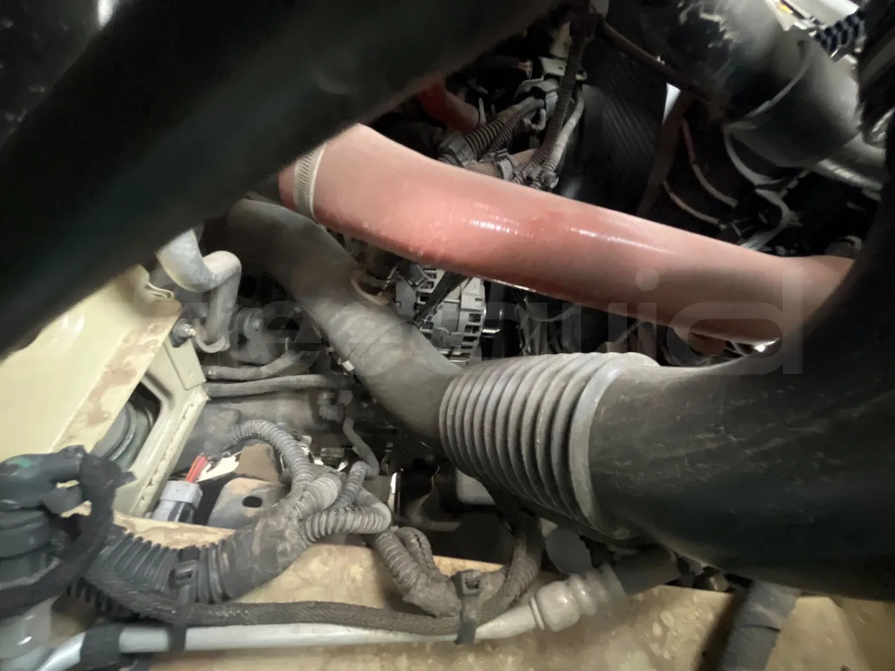 Iveco Indcar 租赁 Iveco Indcar：图16