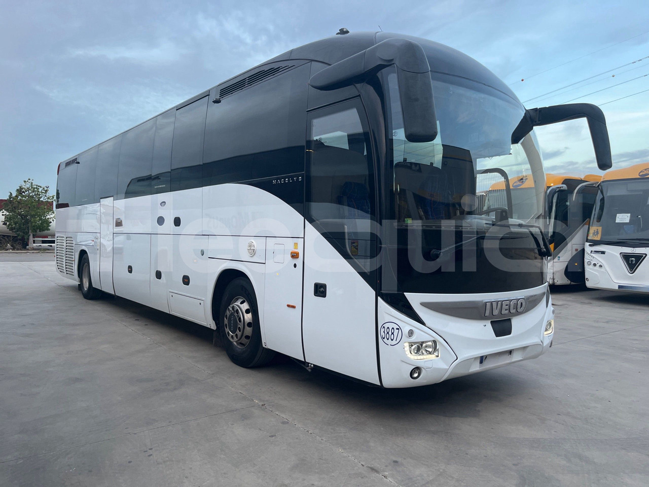 Iveco Magelys - 长途客车:图1 Iveco Magelys - 长途客车:图1