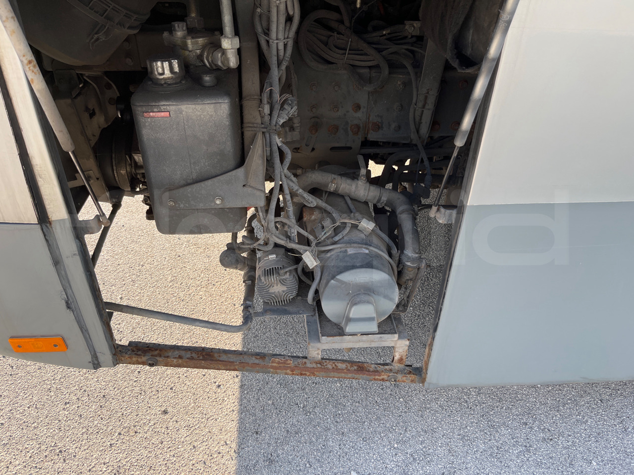 郊区巴士 Man Lion's Classic：图19