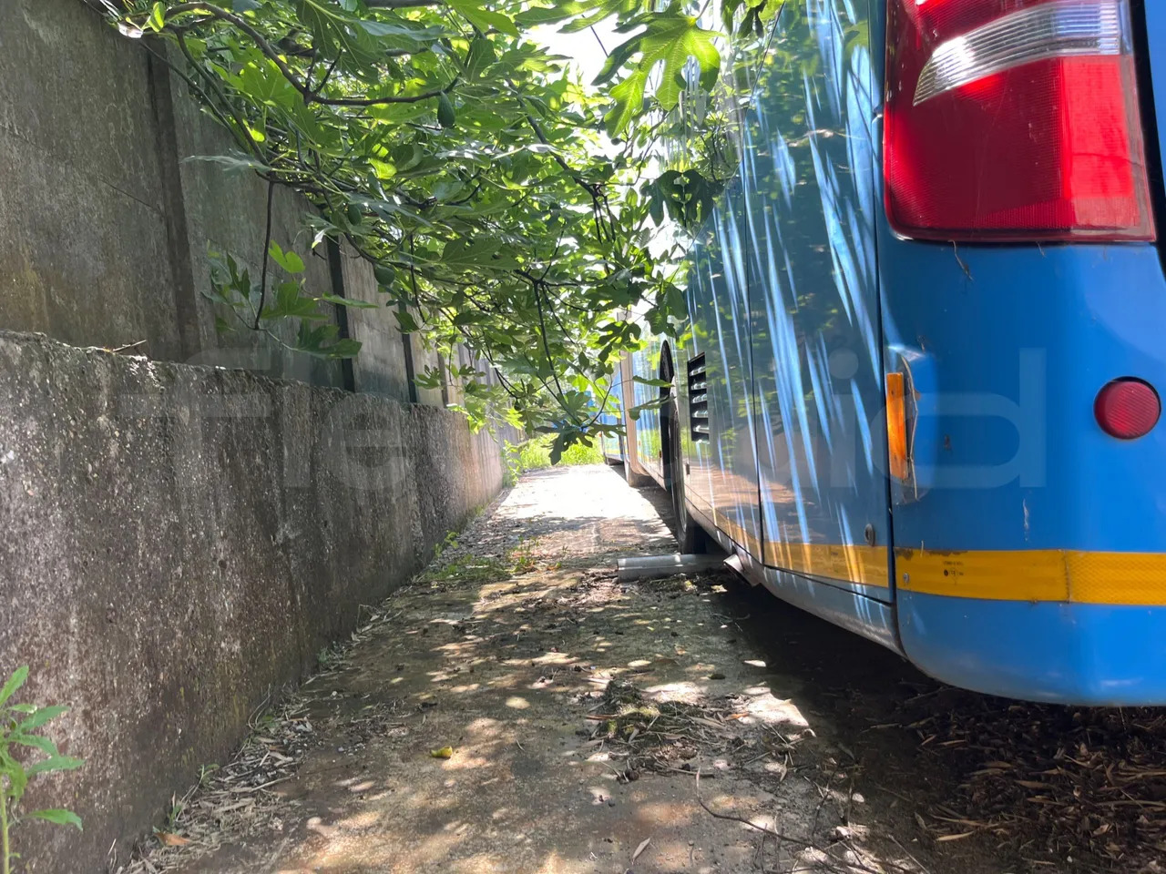 Mercedes-Benz Citaro G - 城市巴士:图4 Mercedes-Benz Citaro G - 城市巴士:图4