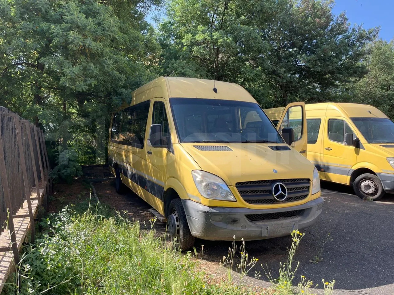 Mercedes-Benz Sprinter - 校車:图1 Mercedes-Benz Sprinter - 校車:图1