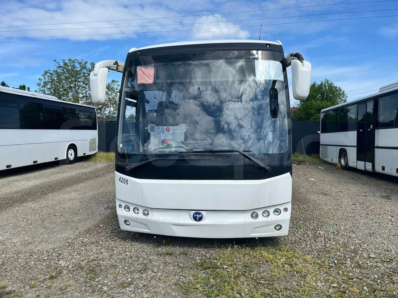 Temsa Safari - 郊区巴士:图1 Temsa Safari - 郊区巴士:图1