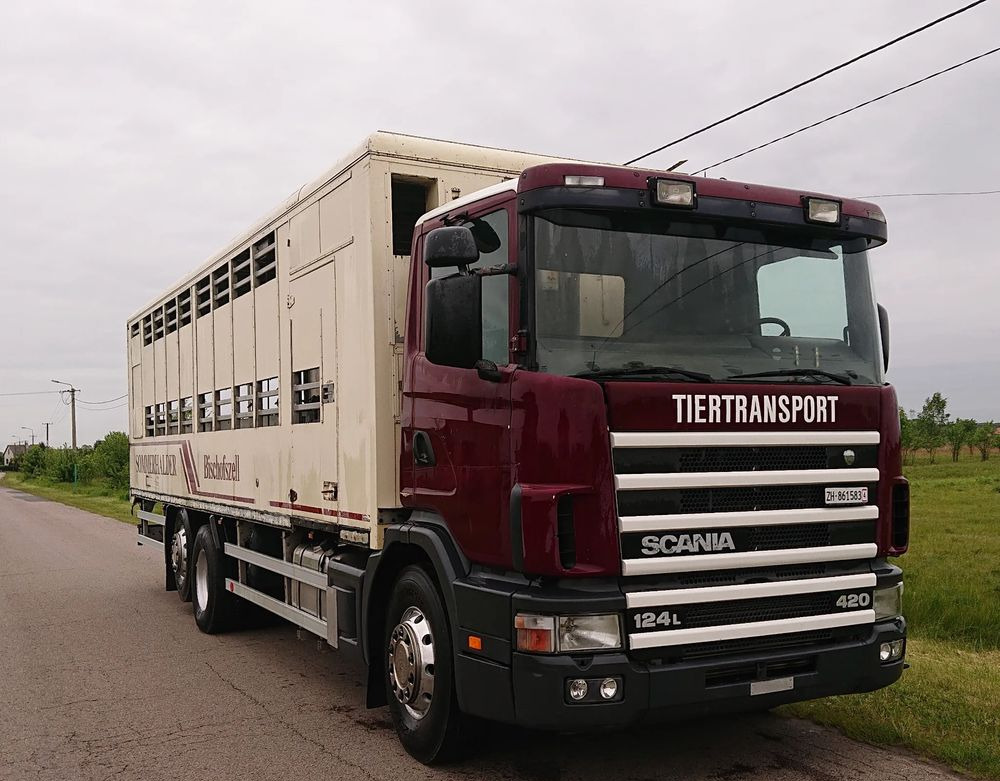 Scania 124 420 Do żywca - 牲畜运输车:图3 Scania 124 420 Do żywca - 牲畜运输车:图3
