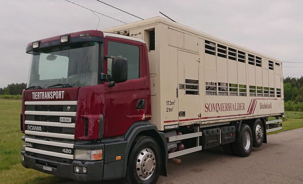 Scania 124 420 Do żywca - 牲畜运输车:图1 Scania 124 420 Do żywca - 牲畜运输车:图1