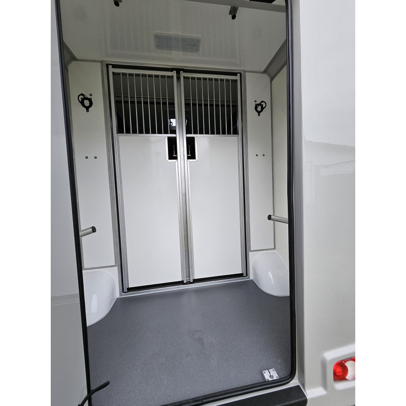 Opel Movano AKX by Stephex - 马匹运输车:图4 Opel Movano AKX by Stephex - 马匹运输车:图4