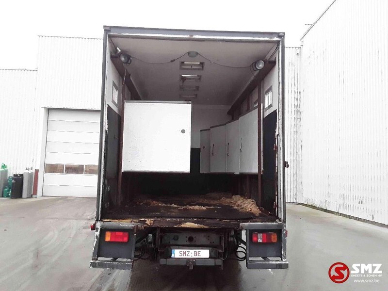 牲畜运输车 Iveco Magirus 80 16 horse truck:图9 牲畜运输车 Iveco Magirus 80 16 horse truck:图9