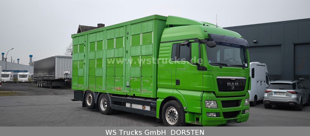 MAN TGX 26.480 XL KABA 3 Stock Viehtransporter - 马匹运输车:图3 MAN TGX 26.480 XL KABA 3 Stock Viehtransporter - 马匹运输车:图3