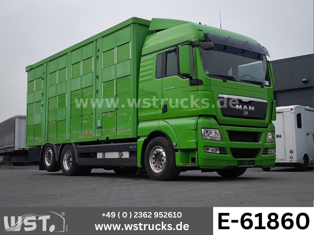 MAN TGX 26.480 XL KABA 3 Stock Viehtransporter - 马匹运输车:图1 MAN TGX 26.480 XL KABA 3 Stock Viehtransporter - 马匹运输车:图1