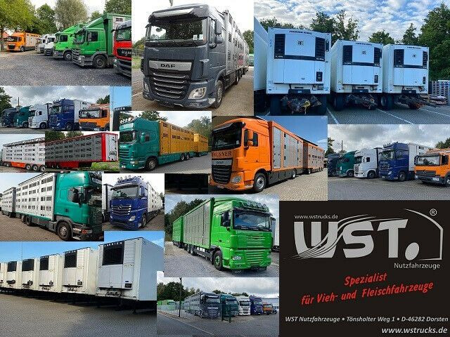 小型货车 Mercedes-Benz Sprinter II Kasten 216 CDI Hoch/Lang：图12