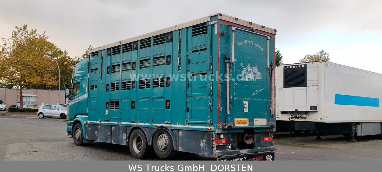 Scania R 490 Topline Menke 4 Stock Hubdach | Retader - 马匹运输车:图4 Scania R 490 Topline Menke 4 Stock Hubdach | Retader - 马匹运输车:图4