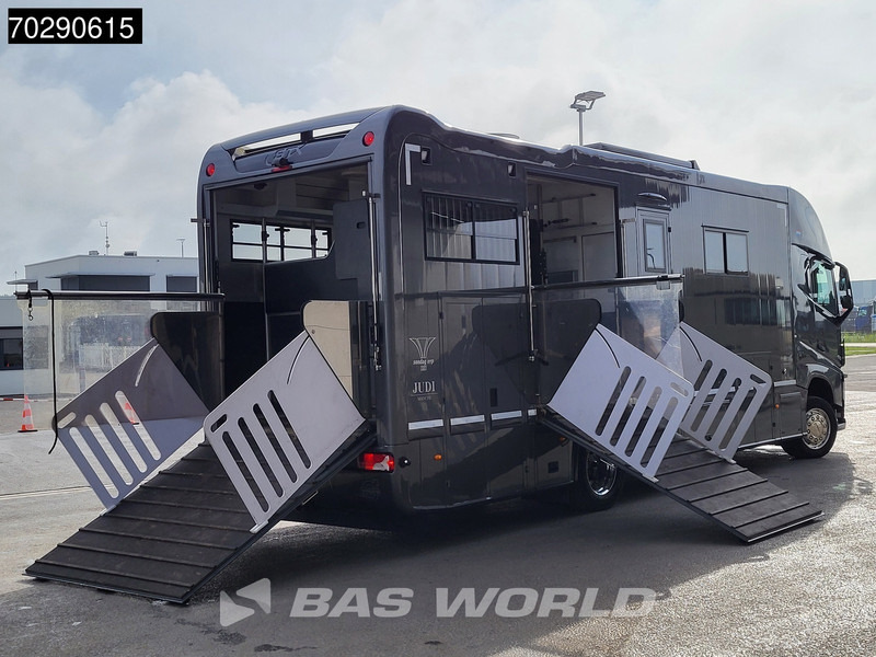 Volvo FH 420 FH 4X2 NL-Truck Xenon Navi ACC Euro 6 - 马匹运输车:图5 Volvo FH 420 FH 4X2 NL-Truck Xenon Navi ACC Euro 6 - 马匹运输车:图5
