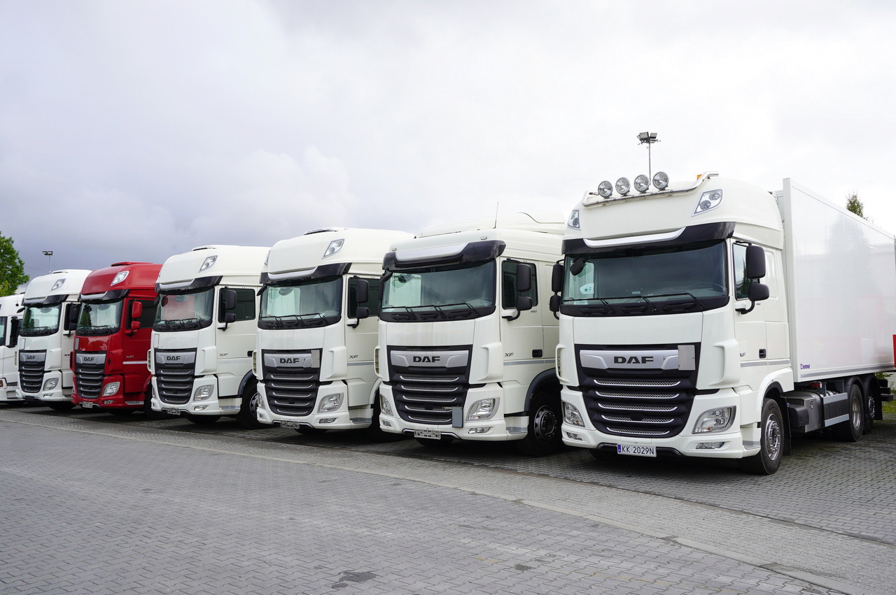 DAF XF 480 E6 6×2 / Refrigerator 18 pallets / 6 units - 冷藏车:图2 DAF XF 480 E6 6×2 / Refrigerator 18 pallets / 6 units - 冷藏车:图2