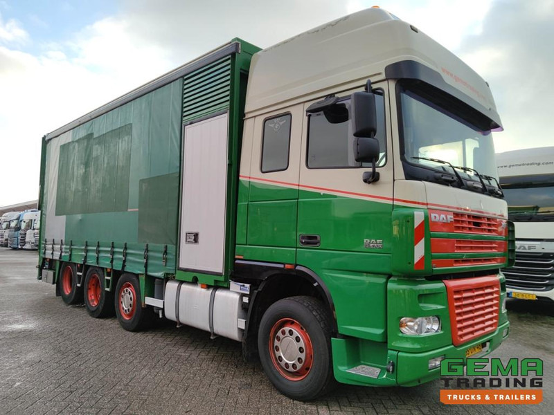 DAF FAK XF95.430 8x2 SuperSpaceCab Euro3 - CurtainSider 7.31m + Ramp 16T - MachineTransporter - 6 Persons (V558) - 自动转运卡车:图3 DAF FAK XF95.430 8x2 SuperSpaceCab Euro3 - CurtainSider 7.31m + Ramp 16T - MachineTransporter - 6 Persons (V558) - 自动转运卡车:图3