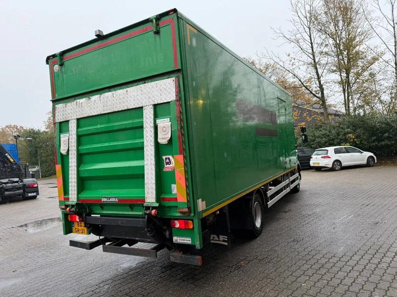 DAF LF 55.180 7.3M Koffer 1500KG LBW Zijdeur NL Truck - 厢式卡车:图4 DAF LF 55.180 7.3M Koffer 1500KG LBW Zijdeur NL Truck - 厢式卡车:图4