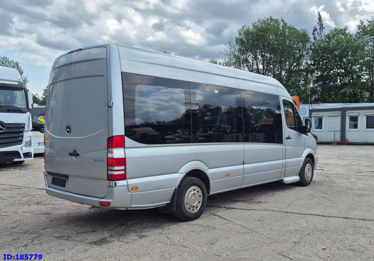 MERCEDES-BENZ Sprinter 316 - VIP - Avestark - 长途客车:图5 MERCEDES-BENZ Sprinter 316 - VIP - Avestark - 长途客车:图5