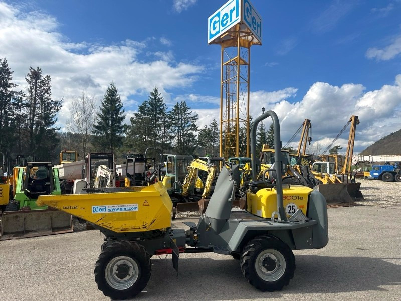 Neuson 3001 (3861) - 小型自卸车:图1 Neuson 3001 (3861) - 小型自卸车:图1