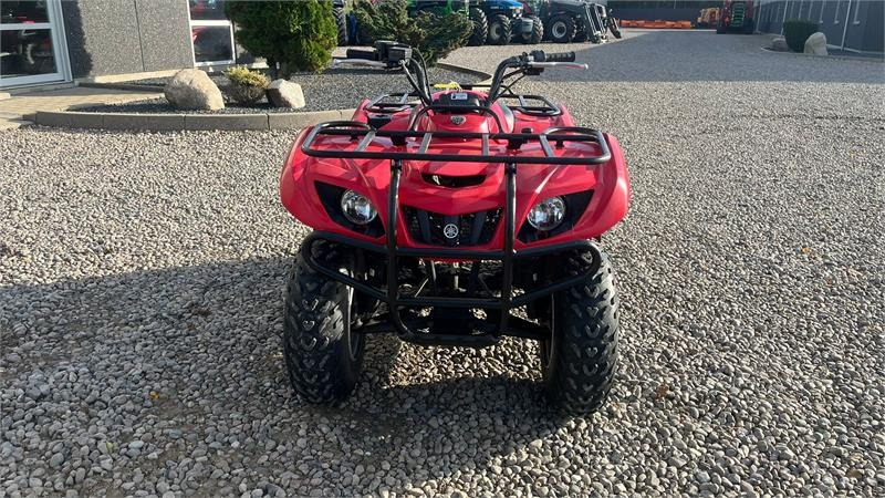 Yamaha Big bear 250 - 全地形车:图4 Yamaha Big bear 250 - 全地形车:图4