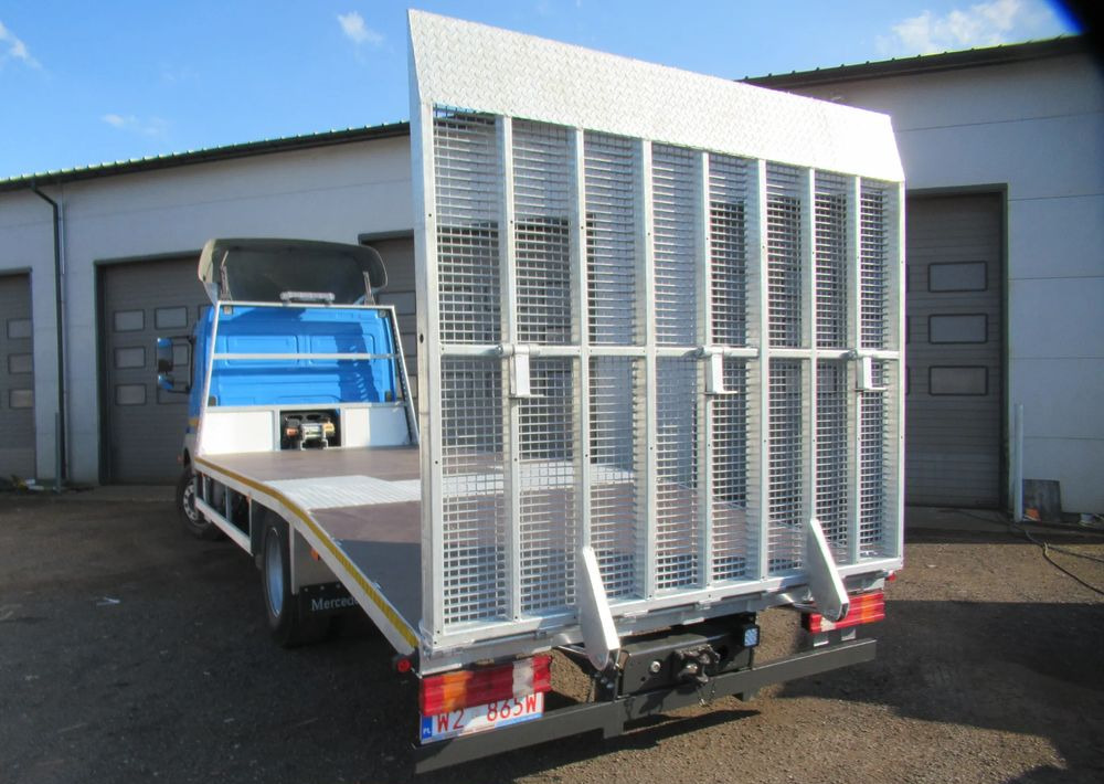拖吊车 Mercedes-Benz Atego 1224：图6