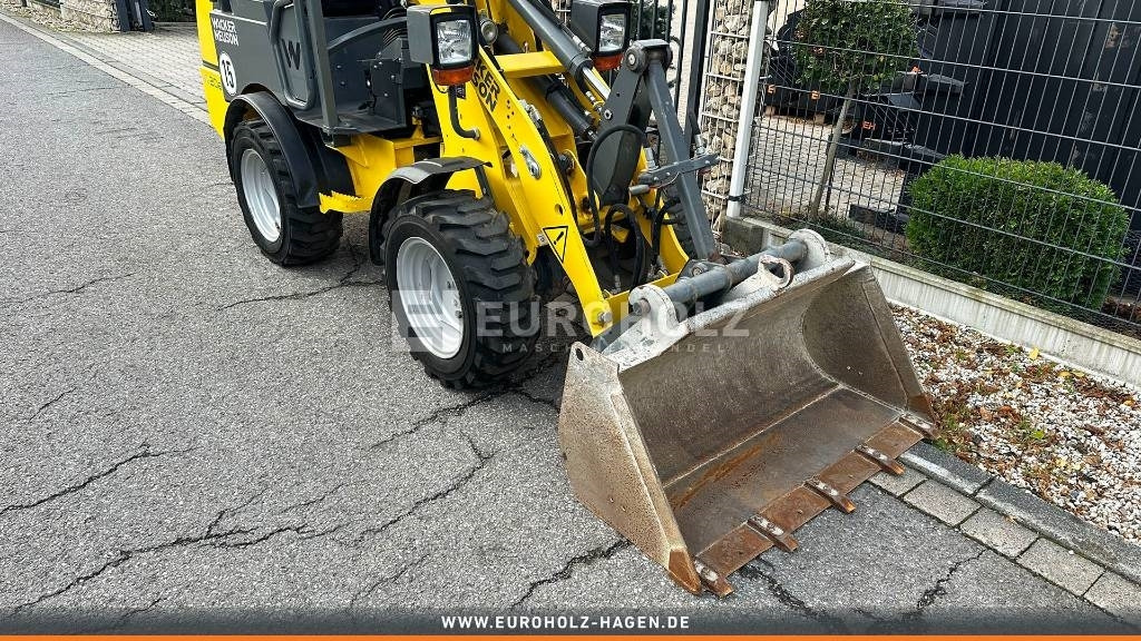 轮式装载机 Wacker Neuson WL20 E, Radlader, Zusatzhydraulik, Schnellwechsler：图6